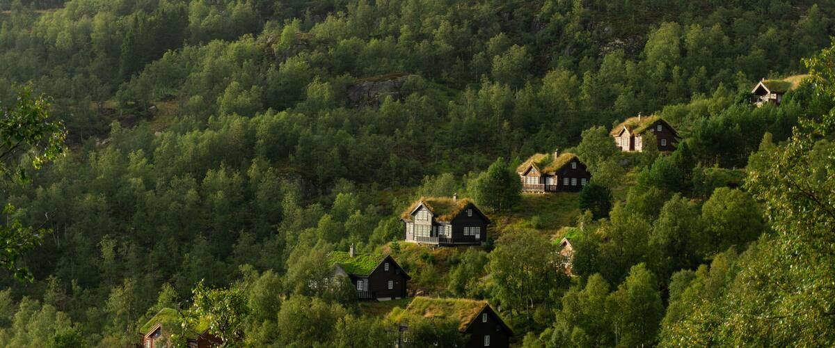 A cluster of houses with thatched roofs nestled in a dense forest.
