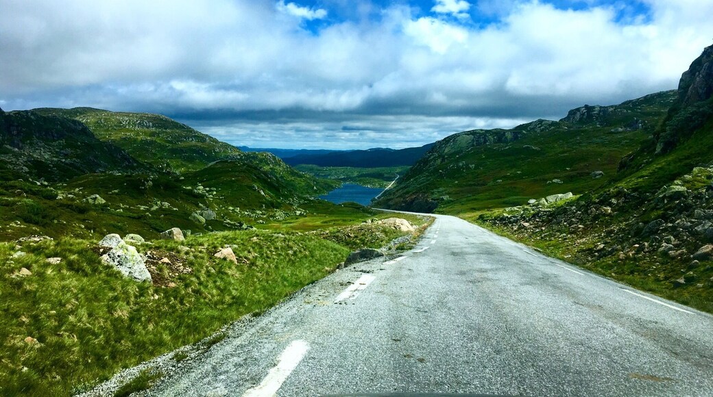Rolling #green mountaintops up above the tree line in Southern Norway, July '16.