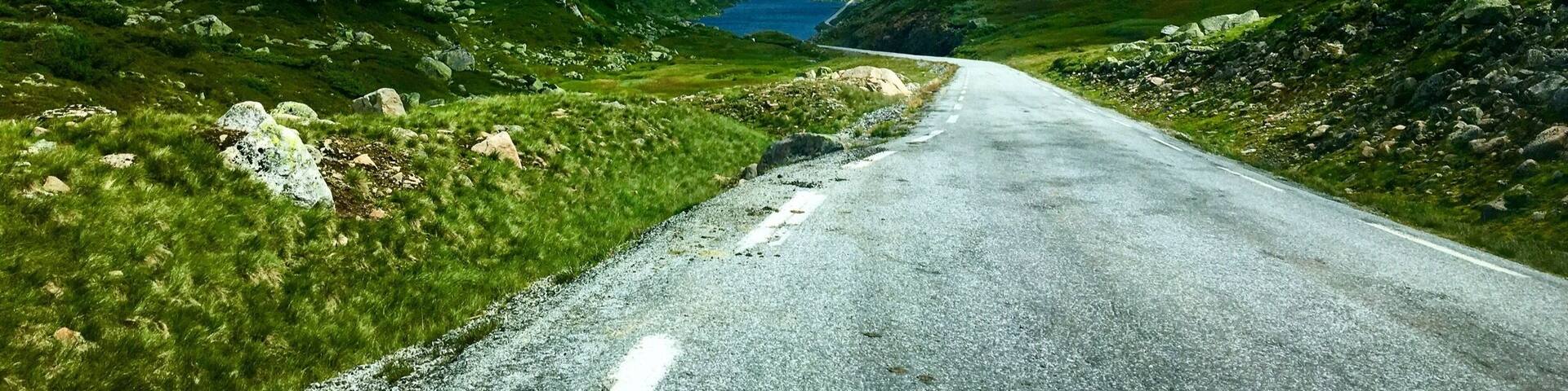 Rolling #green mountaintops up above the tree line in Southern Norway, July '16.