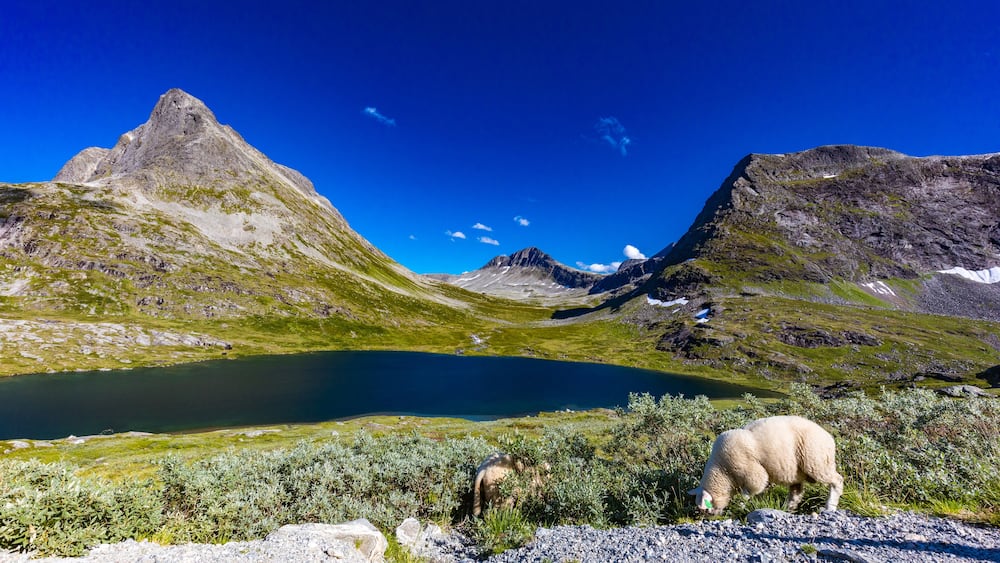 Trollstigen or Trolls Path is a serpentine mountain road in Rauma Municipality in Norway; Shutterstock ID 1827677294; Purchase Order: SP-2617; Order Number: CSC Image Research