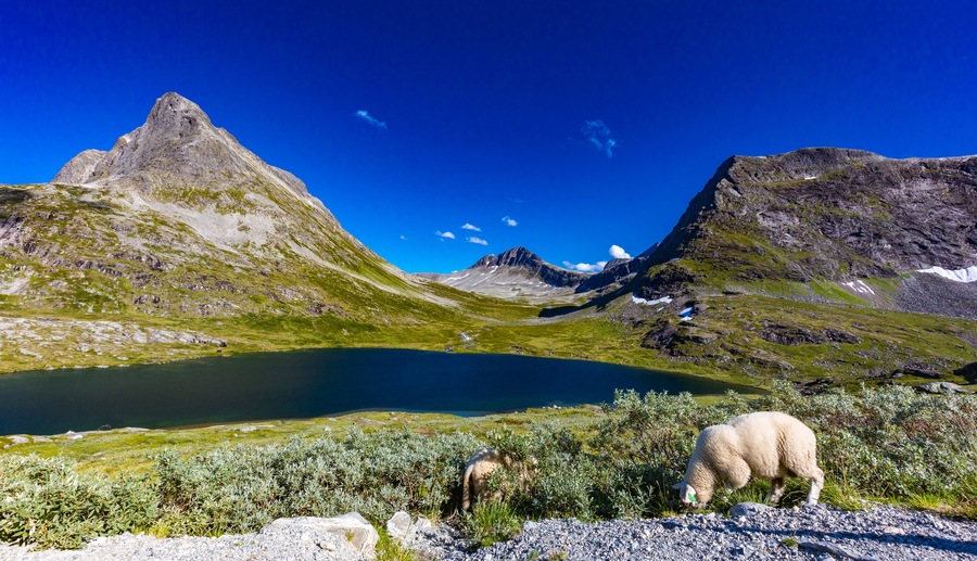 Trollstigen or Trolls Path is a serpentine mountain road in Rauma Municipality in Norway; Shutterstock ID 1827677294; Purchase Order: SP-2617; Order Number: CSC Image Research