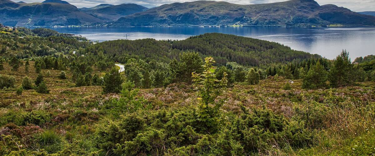 A mountainous landscape with a lake and forested hills.