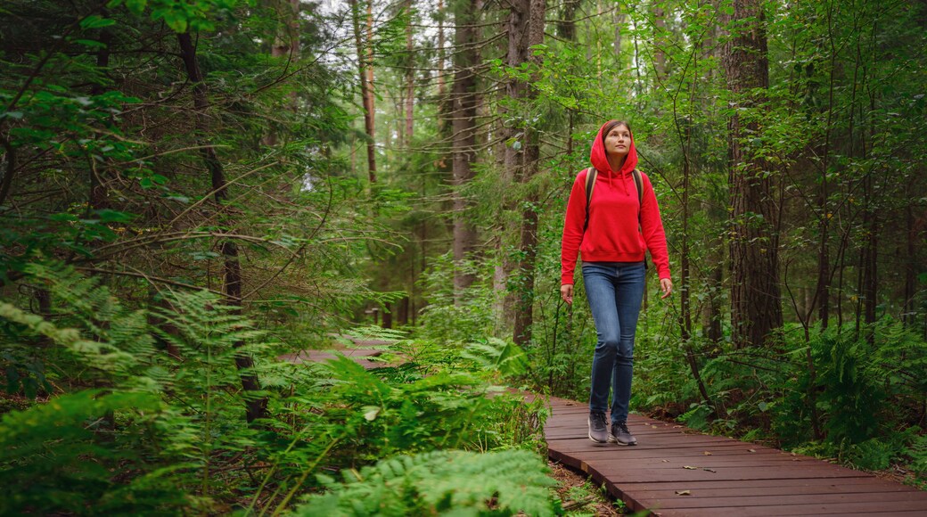 Distrito de Kurortny