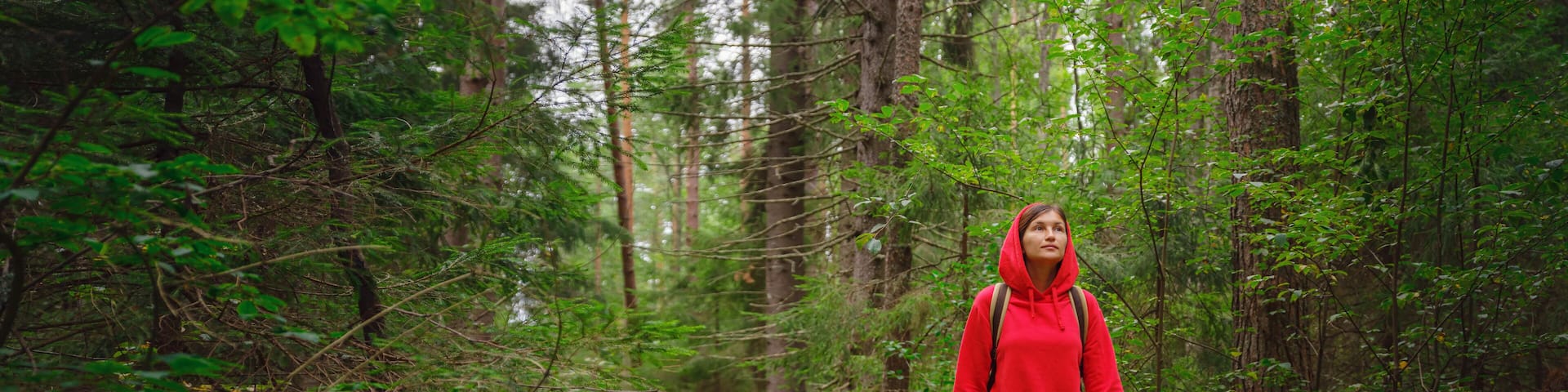 journey in summer Russia, Komarovo village, ecological trail Komarovsky coast. Woman relaxing in park trail hike. Route walkways laid in the forest, in Kurortny District of St. Petersburg