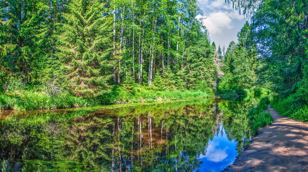 Distrito de Vyborgsky