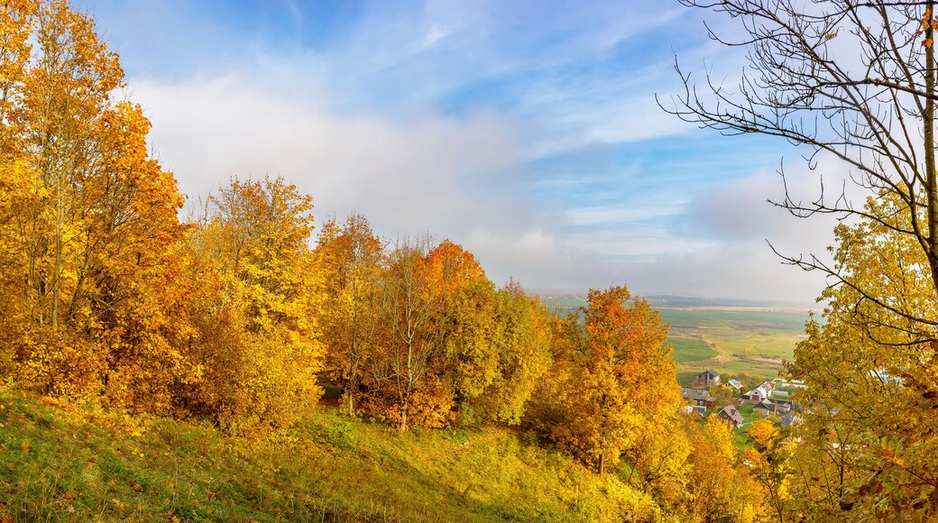 Distrito de Krasnoselsky