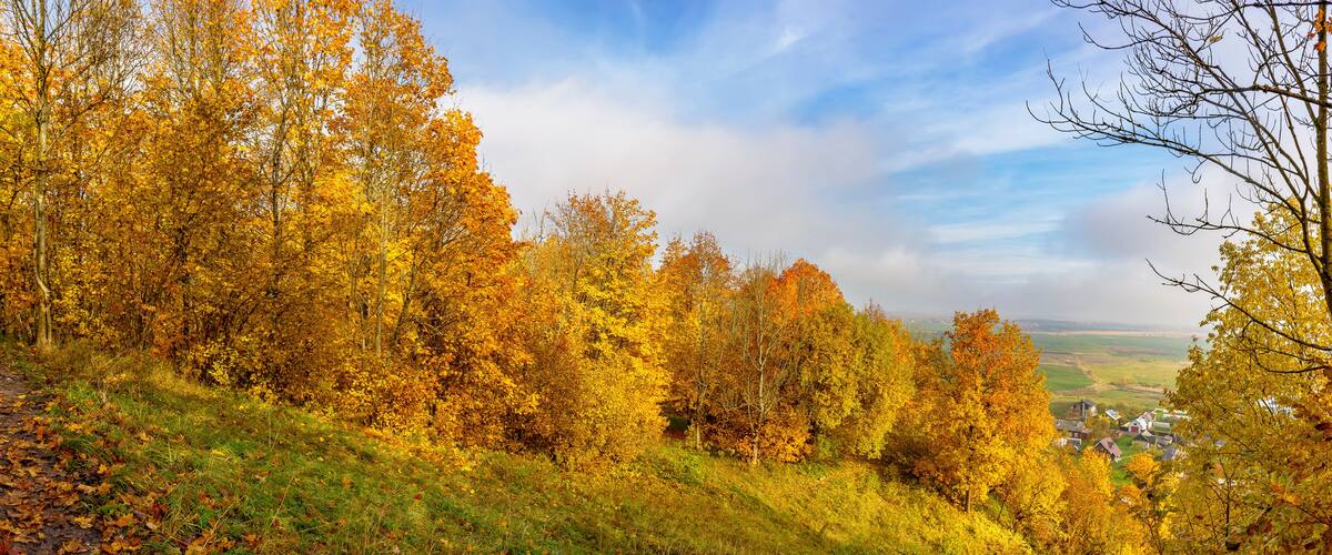 Upland Park is a landscape Park occupying the Orekhovaya mountain (174.2 m) at the Duderhof heights in Krasnoselsky district of St. Petersburg.