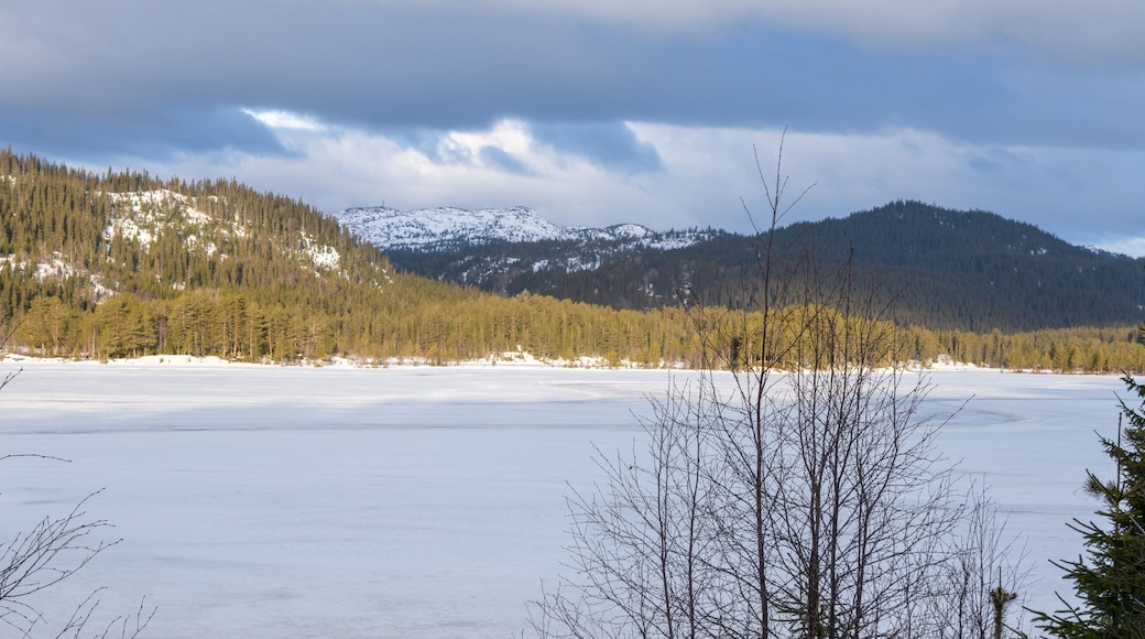 The frozen lake Morgedalstjønni near the village of Morgedal in Norway