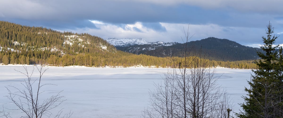 A frozen lake surrounded by snow-covered mountains and deciduous trees.