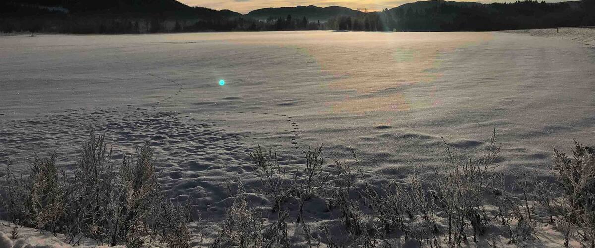 A frozen lake with a sunset, surrounded by hills and sparse vegetation.