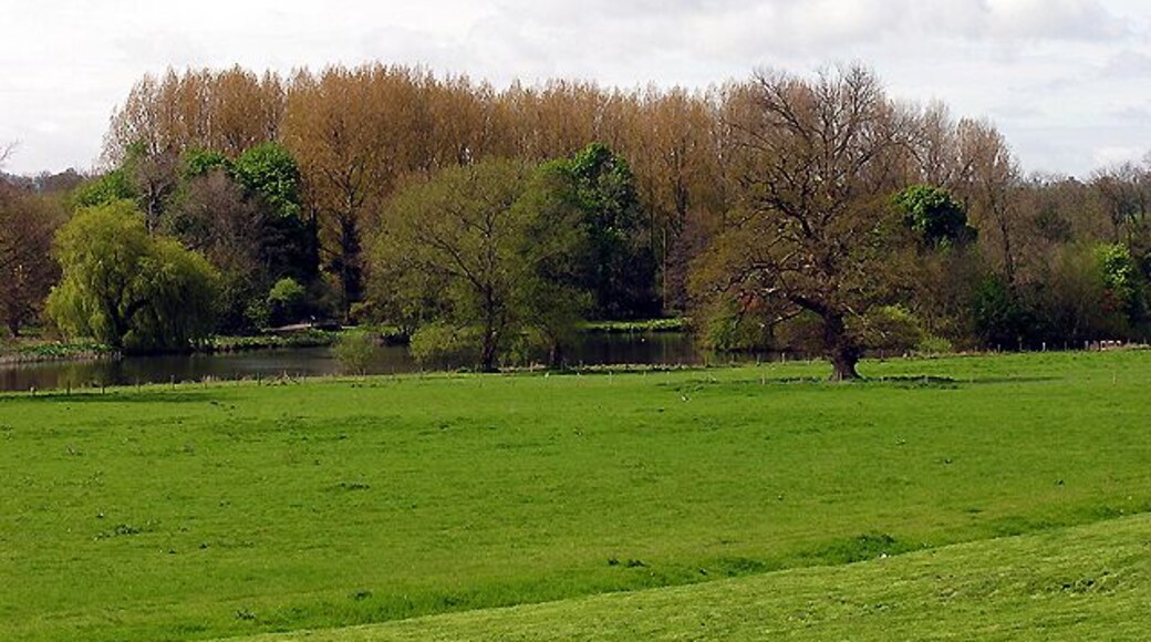 The Lake Benham Park: Near Speen and Newbury. This lake view is of the far western section of the lake and situated in the centre of this grid square. This picture was taken from the north side of the lake looking south west.