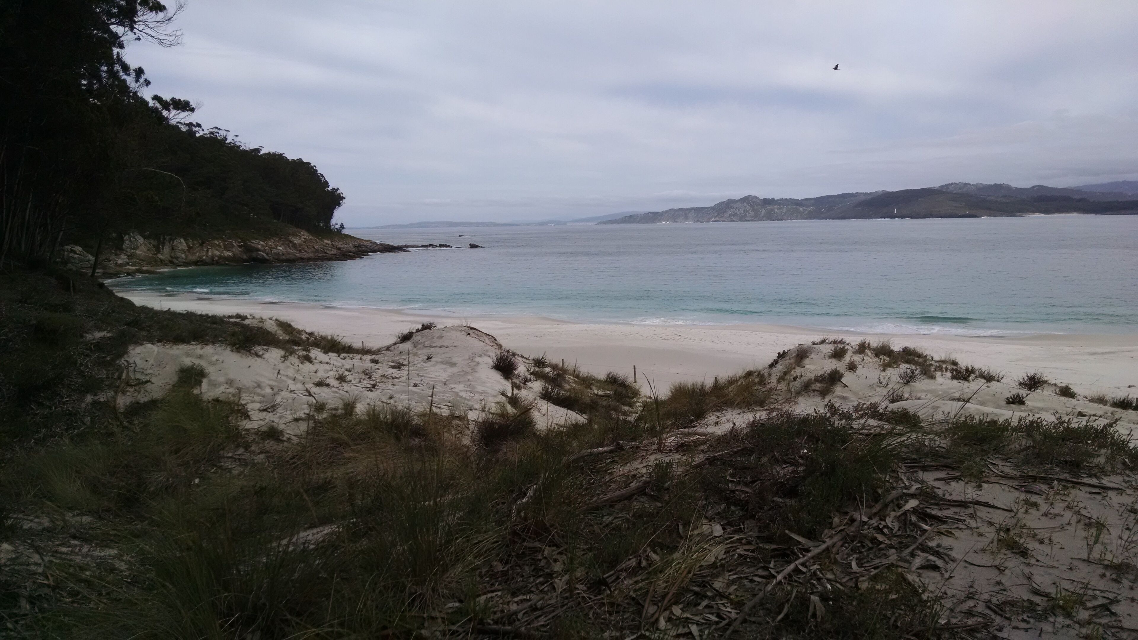 This is a photography of a Site of Community Importance in Spain with the ID: