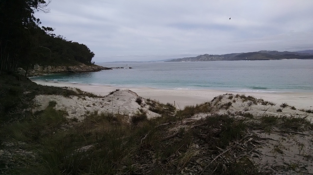 This is a photography of a Site of Community Importance in Spain with the ID: