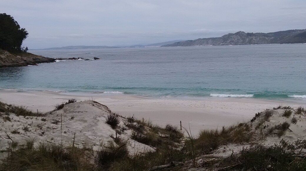 This is a photography of a Site of Community Importance in Spain with the ID: