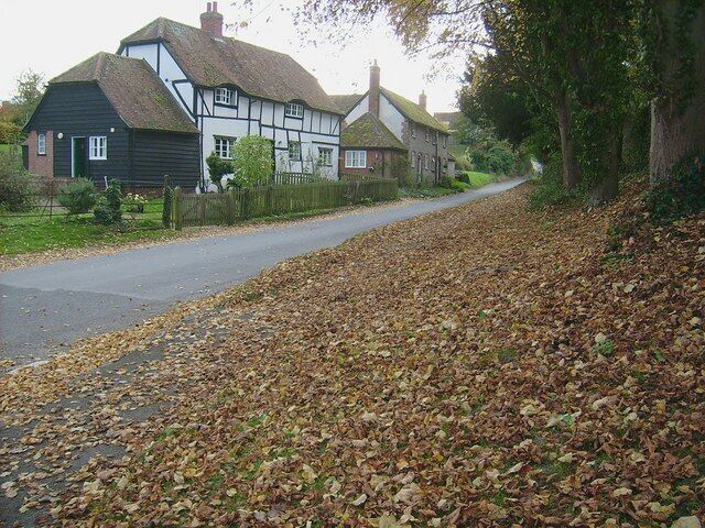 A rural road with houses on one side and a leaf-covered path on the other.
