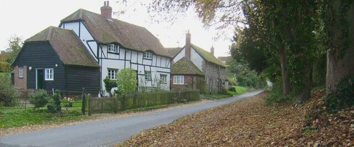A rural road with houses on one side and a leaf-covered path on the other.