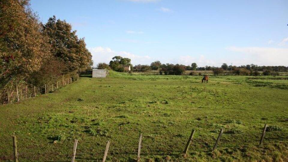 A green field with a fence, trees, and a small building in the distance.