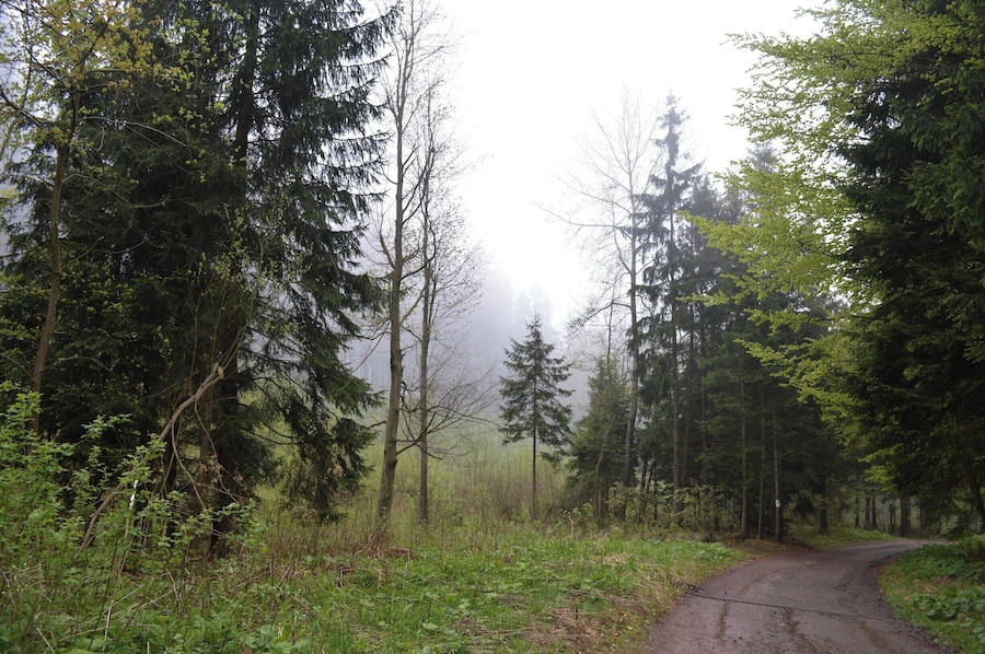 This photo was taken while visiting some of Silesia's underground tunnels from WWII. The fog was just low enough to create an interesting composition without taking away too many details. #BvSApplication