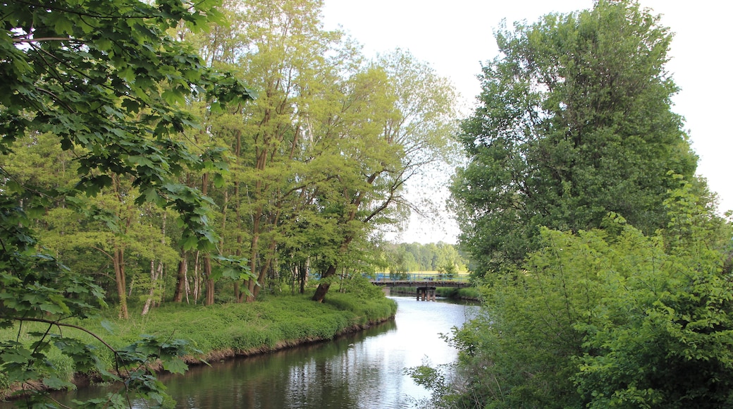 Pieńsk - wieś w Polsce w województwie dolnośląskim w powiecie zgorzeleckim, w gminie Pieńsk.