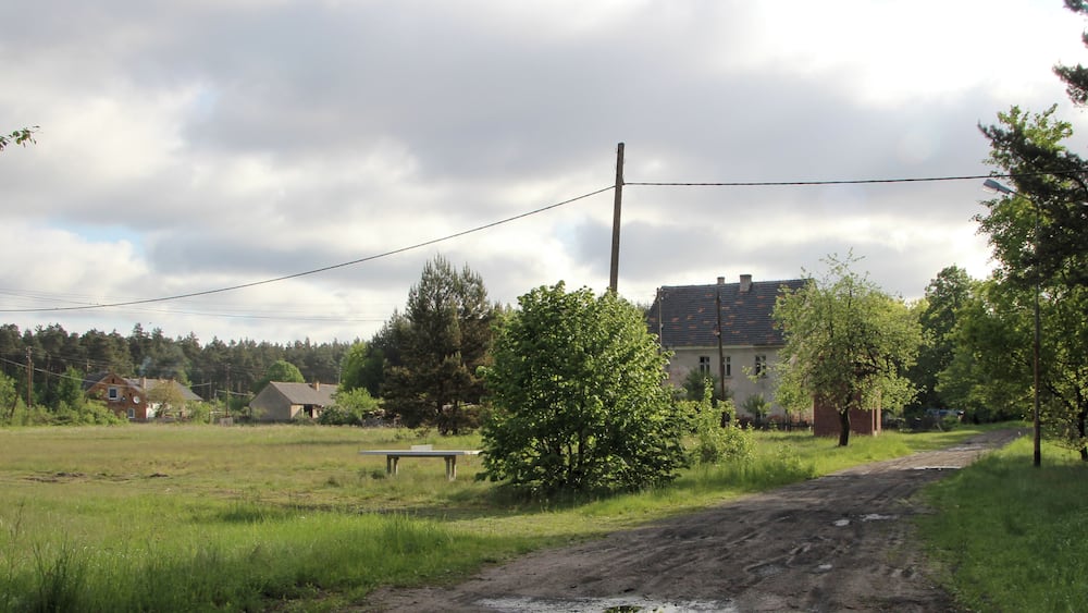 Une route de campagne bordée d’une allée de terre, entourée de verdure et de maisons.