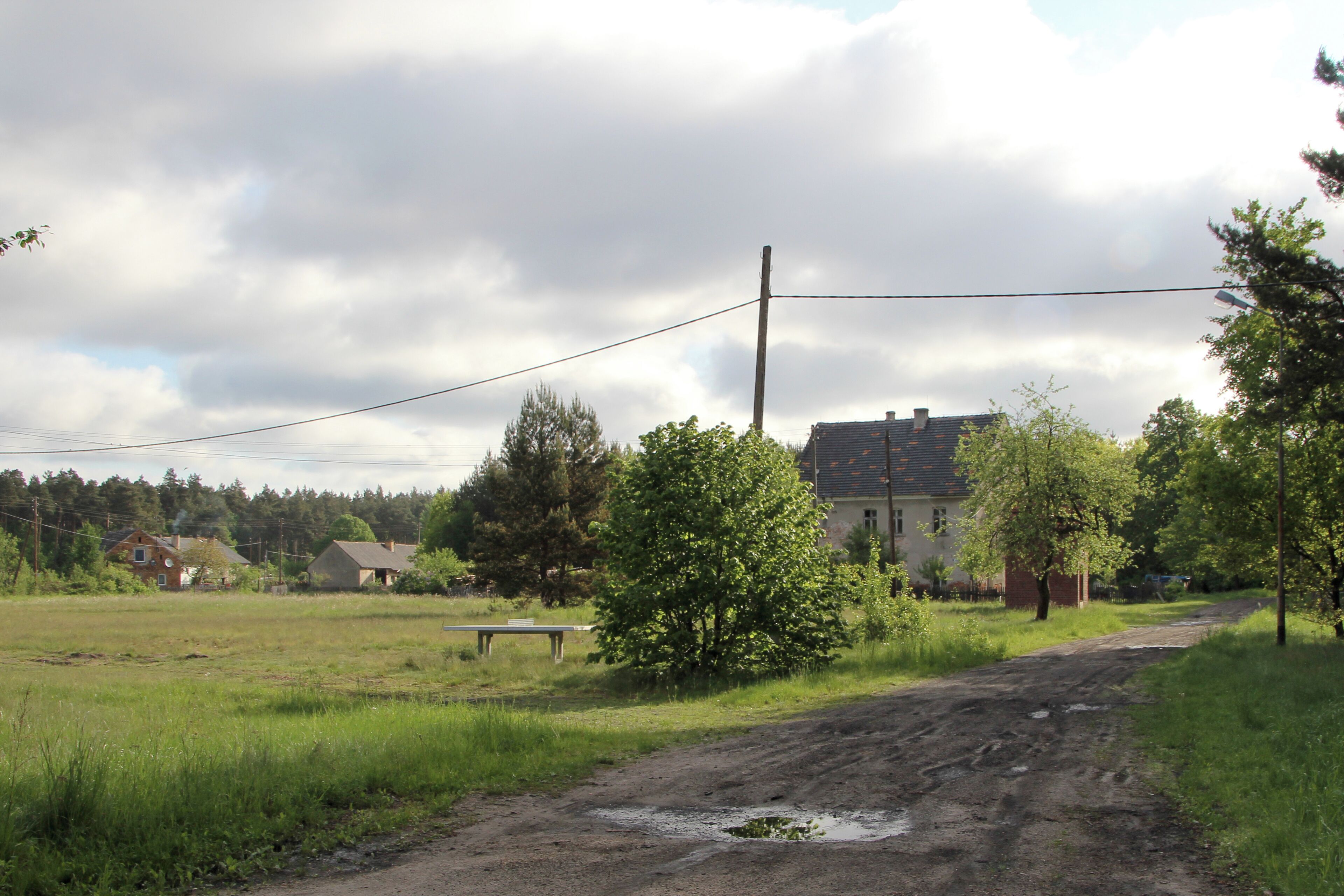 A rural road with a dirt path, surrounded by greenery and houses.