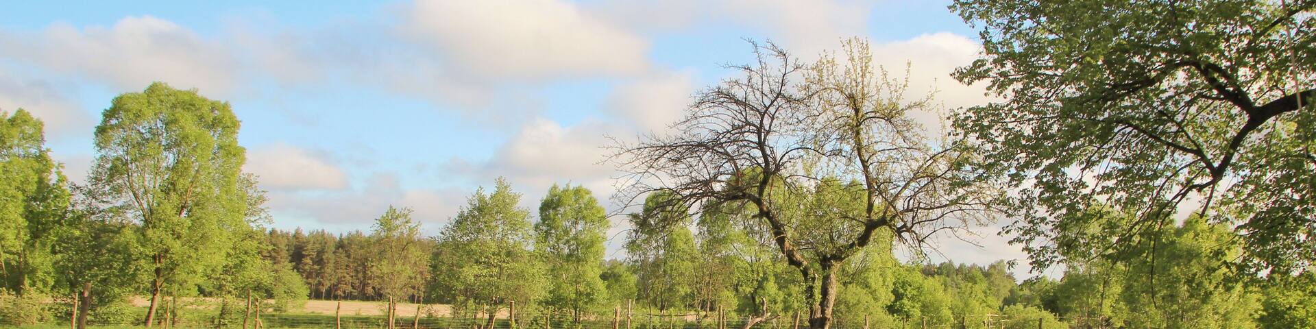 Stojanów - wieś w Polsce w województwie dolnośląskim w powiecie zgorzeleckim, w gminie Pieńsk.