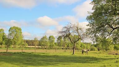 StojanĂłw - wieĆ w Polsce w wojewĂłdztwie dolnoĆlÄ
skim w powiecie zgorzeleckim, w gminie PieĆsk.