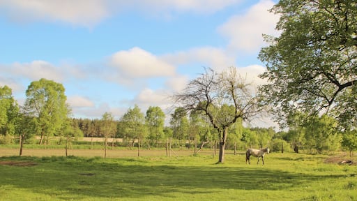 Stojanów - wieś w Polsce w województwie dolnośląskim w powiecie zgorzeleckim, w gminie Pieńsk.