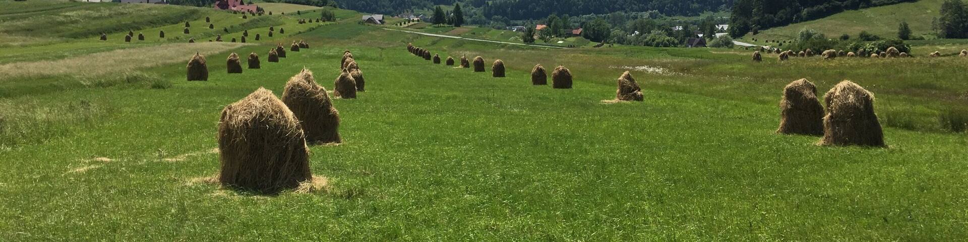 Fantastic views on the rząd to the Tatra Mountains in Poland