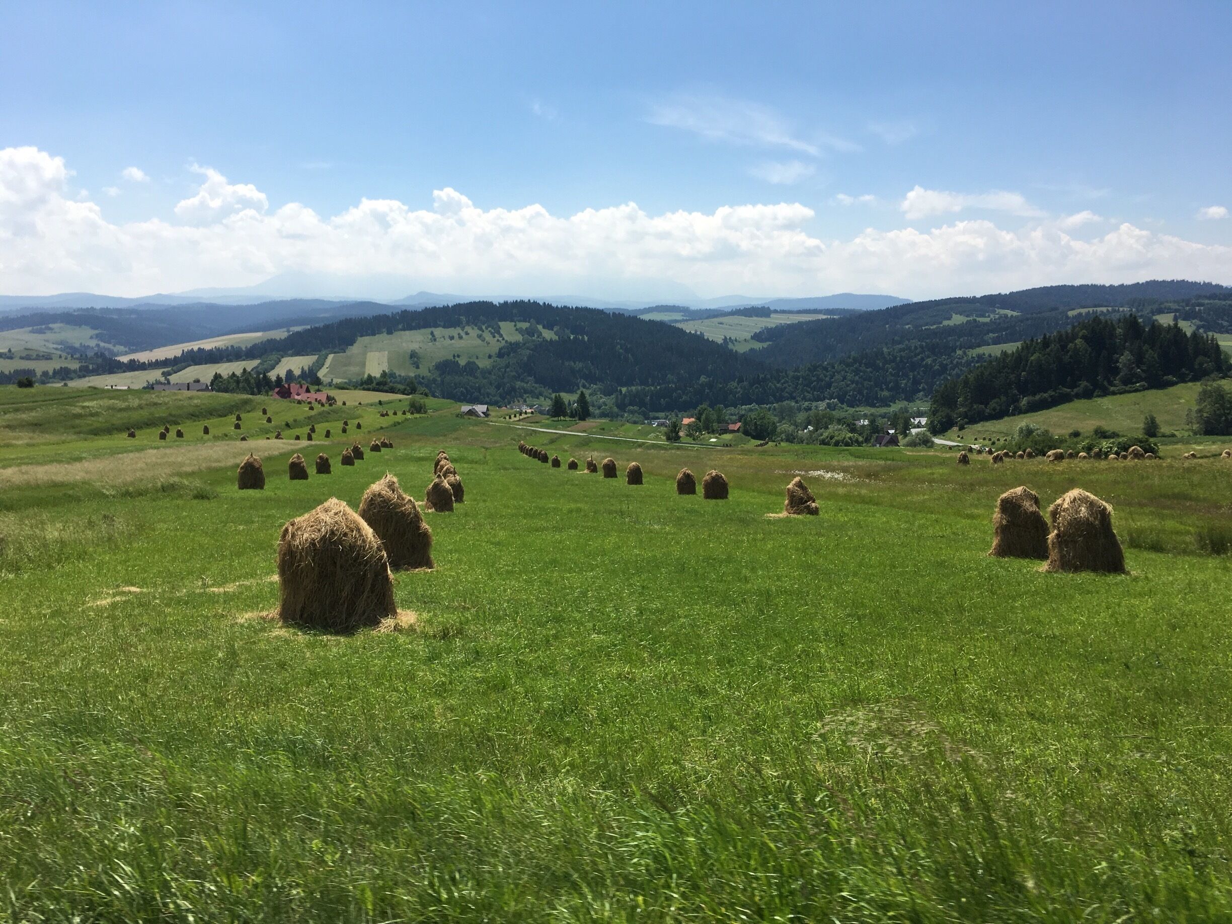 A green field with hay bales and a distant view of hills and houses.