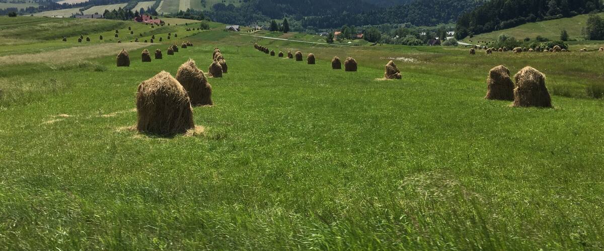 A green field with hay bales and a distant view of hills and houses.