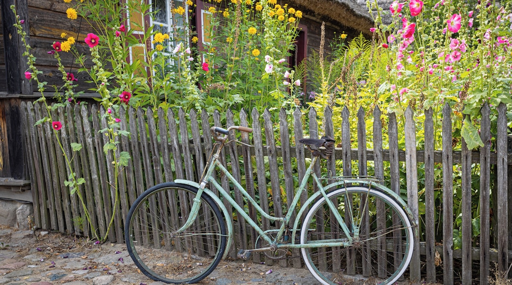 Cottages surrounded by vegetable and flower gardens or apiaries and animals living here make an impression of a village that is still teeming with life. Courtly interiors from the end of the 19th and the beginning of the 20th century.