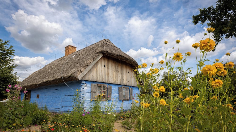 A rustic blue wooden house with a thatched roof surrounded by vibrant wildflowers and greenery.