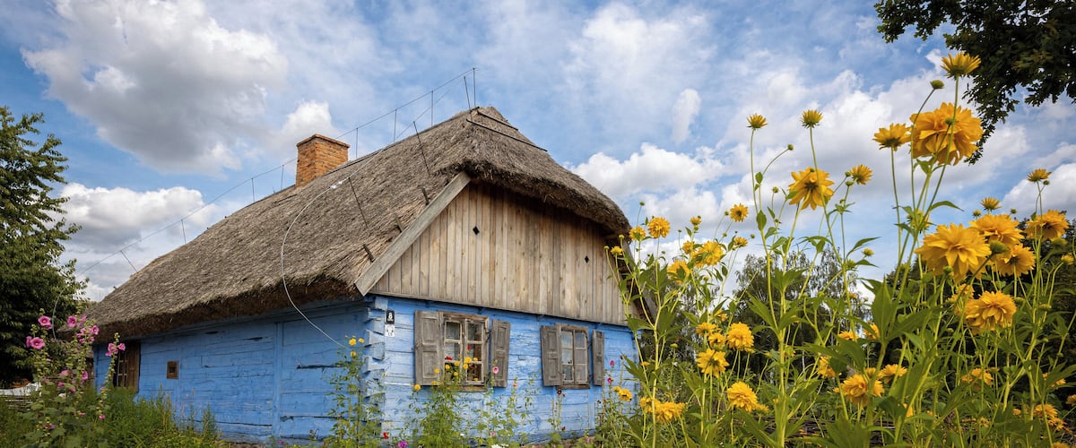 A rustic blue wooden house with a thatched roof surrounded by vibrant wildflowers and greenery.