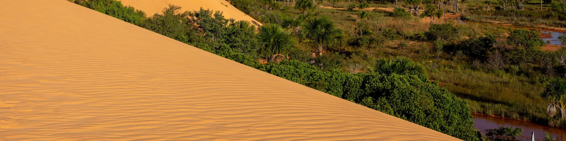 View of Dunas do Jalapão (Jalapão Dunes) at Jalapão State Park - Tocantins, Brazil