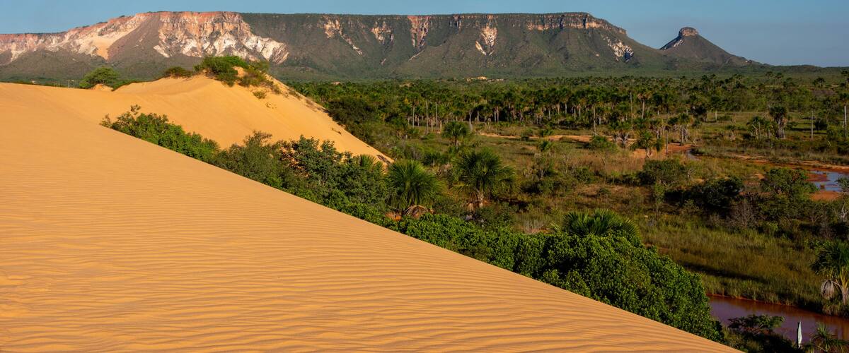 A desert landscape with sand dunes, sparse vegetation, and a distant mountain range.