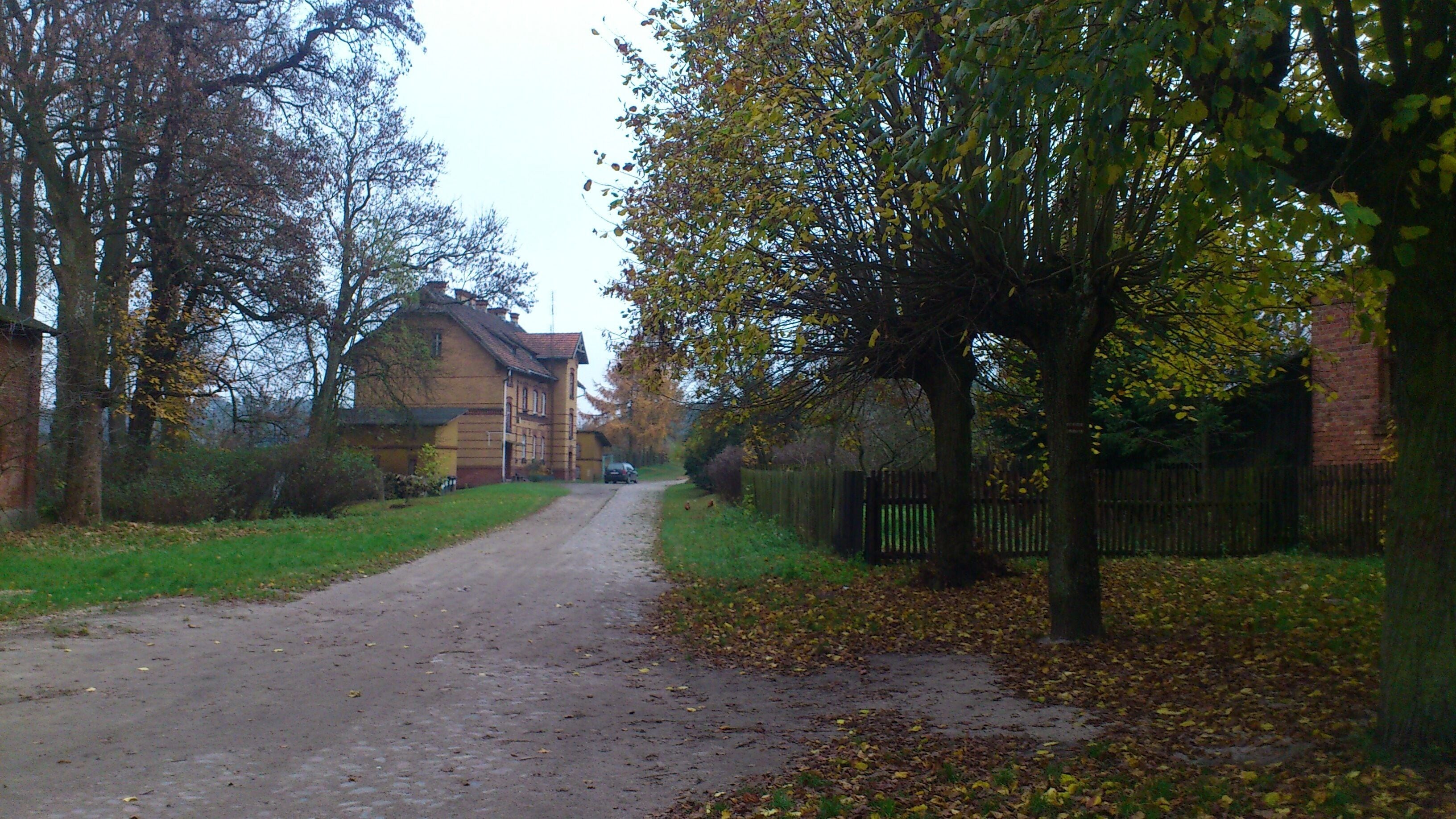 A rural road flanked by trees and a house.