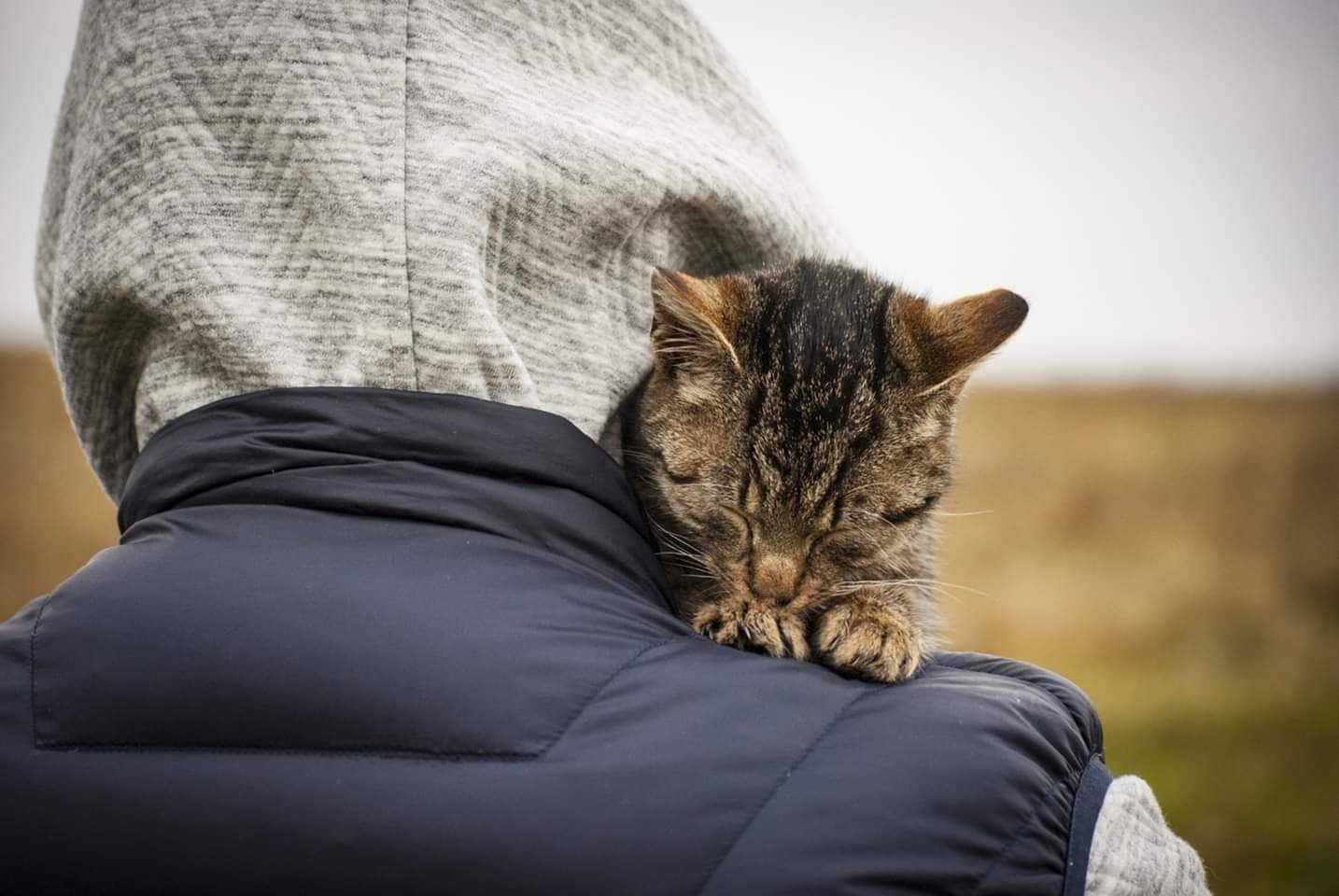 We went for a walk and after about 20 minutes we heard this little fella... He was following us since we left the house ❤️ sweet little paws.