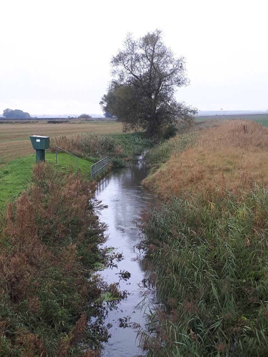 A narrow water channel with a metal bridge, surrounded by grassy fields and a solitary tree.