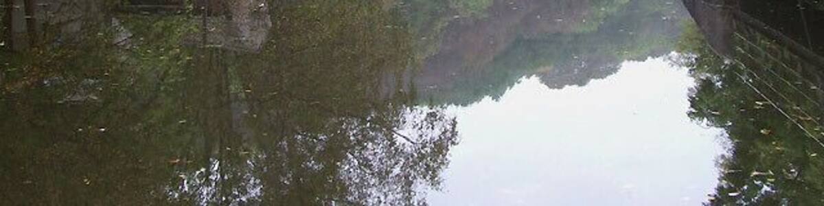 Caldon Canal at Consall Forge, Staffordshire Here the River Churnet goes to the right under the bridge to a weir. The canal continues towards Froghall past the pub at Consall Forge. The canal bridge (No 49) carries the footpath towards the railway crossing to the Black Lion.