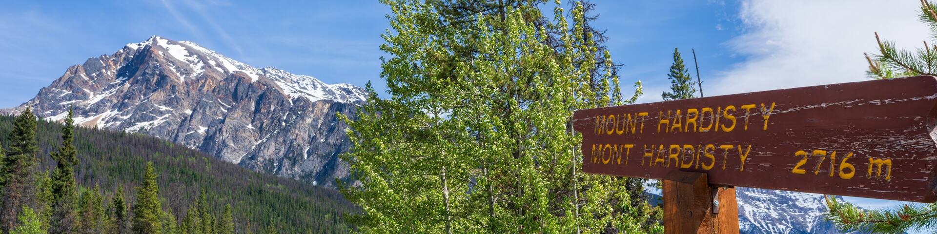 Sign of Mount Hardisty at Athabasca Pass Lookout in Jasper National Park, Alberta, Canada. Canadian Rockies summer landscape.