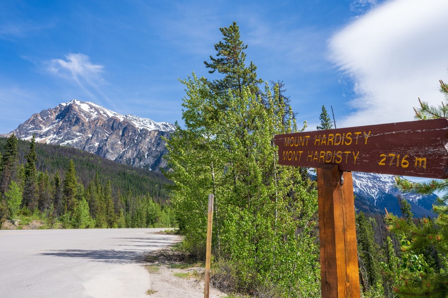 Sign of Mount Hardisty at Athabasca Pass Lookout in Jasper National Park, Alberta, Canada. Canadian Rockies summer landscape.