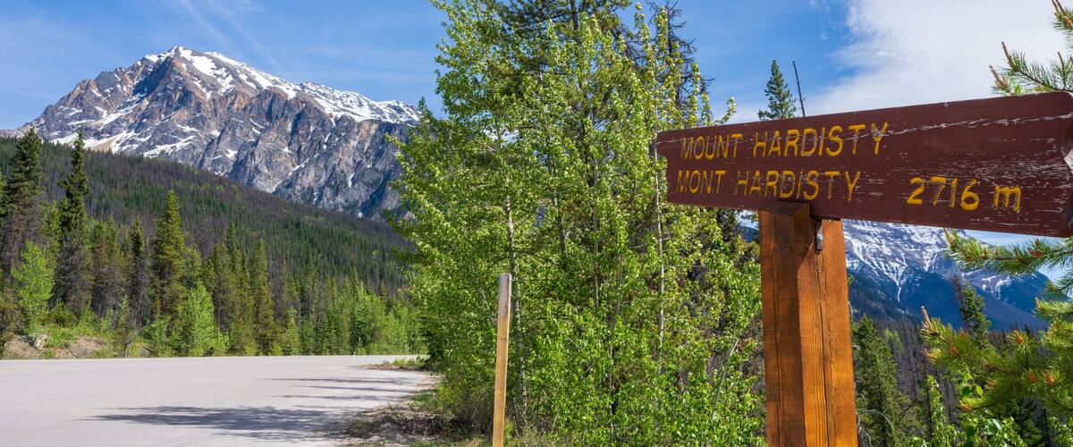 Sign of Mount Hardisty at Athabasca Pass Lookout in Jasper National Park, Alberta, Canada. Canadian Rockies summer landscape.
