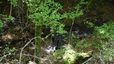 Naturschutzgebiet NSG 1116 Bärentobel bei Uhingen in Baden-Württemberg