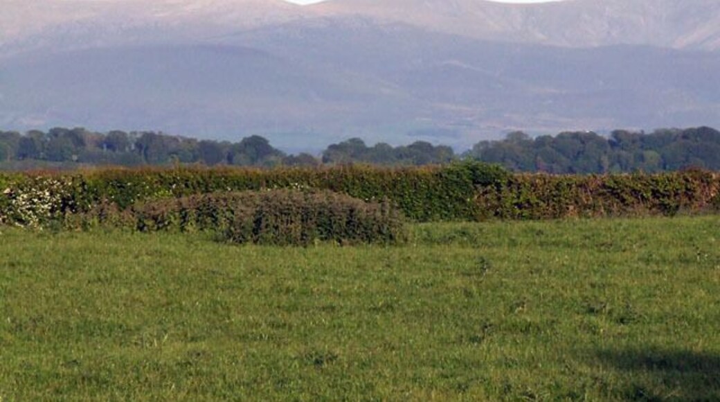 Field beside a country road. A field beside a country road, from this location there are great views of the Snowdonia mountains