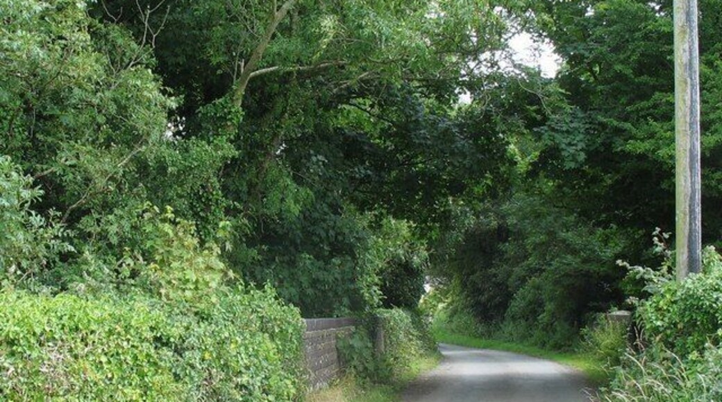 Approaching the bridge over old railway line from the Llanbedrgoch direction 907414