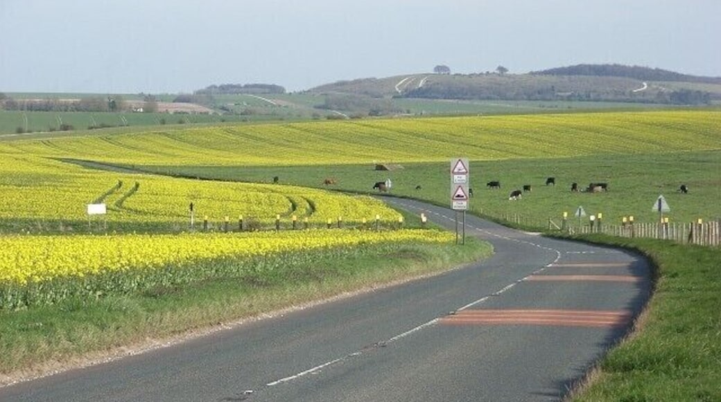 The A342, Everleigh Windmill Hill is in the distance. The road signs warn of helicopters for three miles and a tank-crossing.