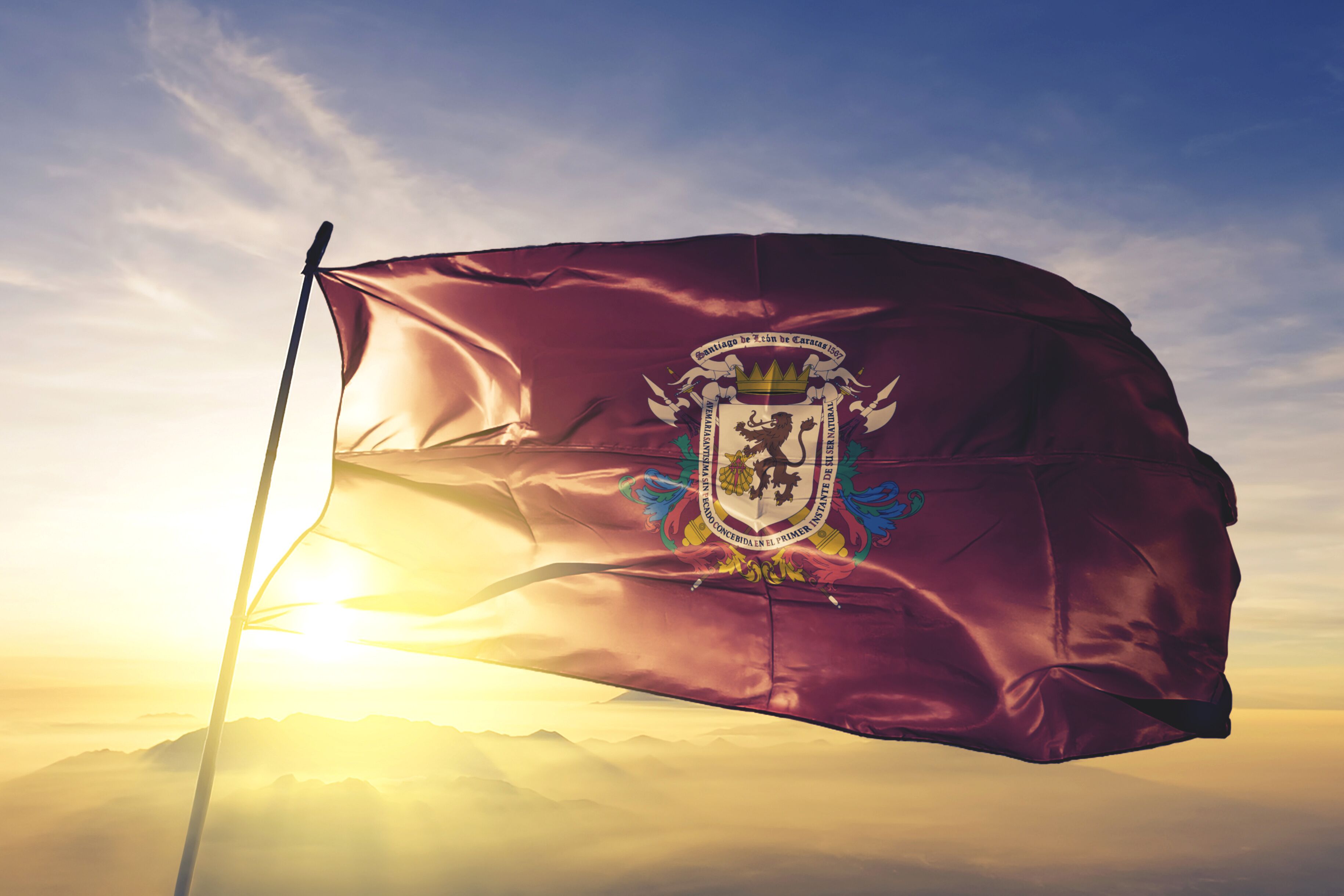 A flag with a coat of arms waving in the wind.