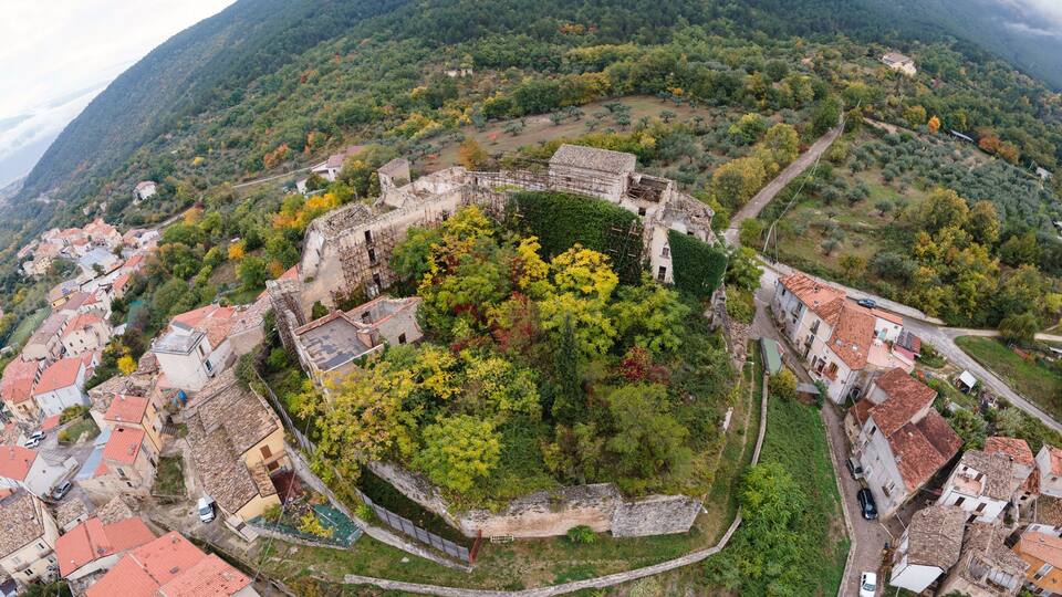 An aerial view of a historic town with a central fortress surrounded by residential buildings and lush greenery.