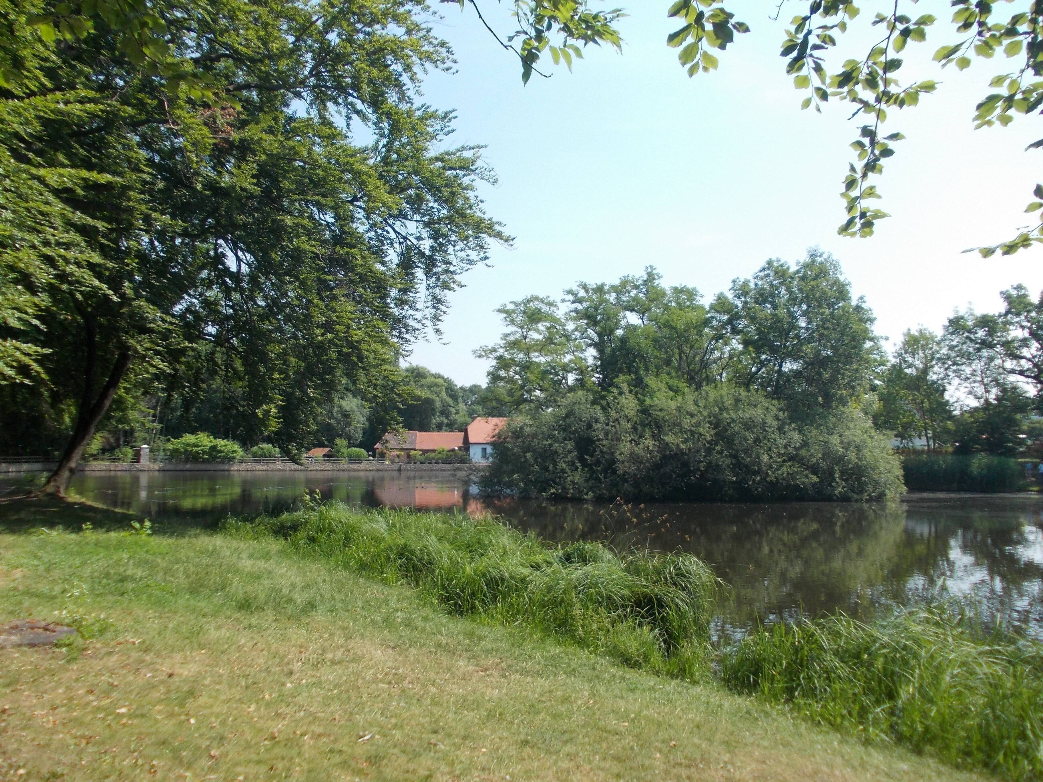 Mill pond in Braunsbedra (district: Saalekreis, Saxony-Anhalt), belonging to the protected landscape area Gröster Berge